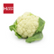 Gobi (Cauliflower) - HKarim Buksh
