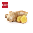 Ginger - HKarim Buksh