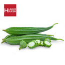 Tori (Ridge Gourd) - HKarim Buksh