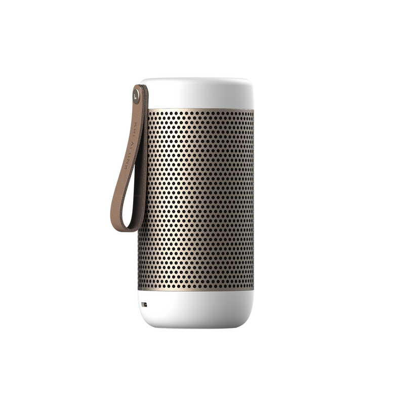 aCOUSTIC - Bluetooth Speaker - HKarim Buksh
