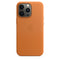 iPhone 13 Pro Leather Case with MagSafe - HKarim Buksh