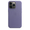 iPhone 13 Pro Leather Case with MagSafe - HKarim Buksh