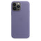 iPhone 13 Pro Max Leather Case with MagSafe - HKarim Buksh