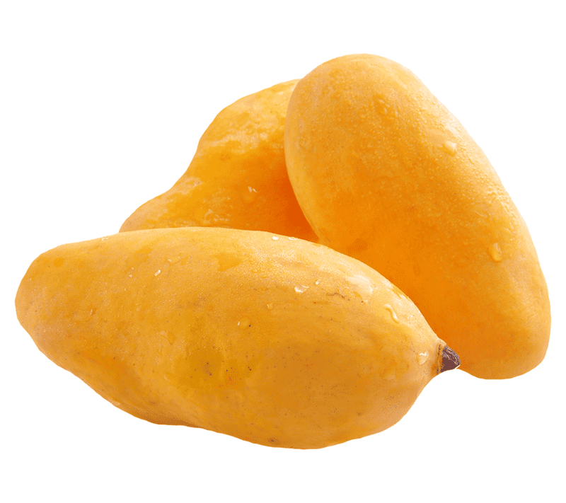 Mango (White Chonsa) - HKarim Buksh
