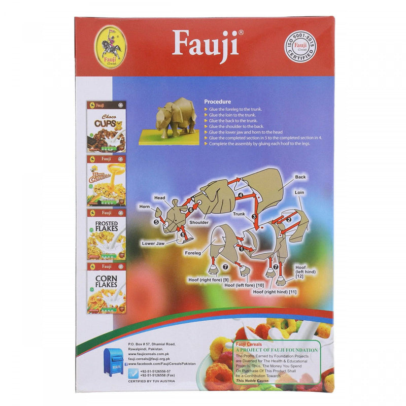 Fauji Fruit Ringlets Frootooz Cereal 250g - HKarim Buksh