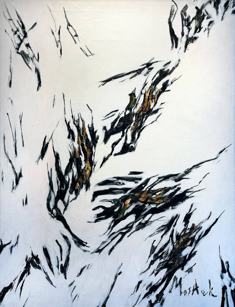 Wild Fire Elevation - HKarim Buksh