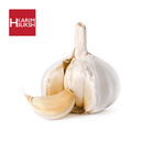 Garlic - HKarim Buksh