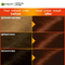 Garnier Color Naturals - 3.6 Deep Red Brown - HKarim Buksh