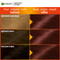 Garnier Color Naturals - 4.6 Burgundy - HKarim Buksh