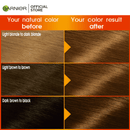 Garnier Color Naturals - 6.34 Chocolate - HKarim Buksh