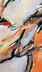 Orange Elevation - HKarim Buksh