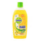 Dettol Citrus Multi Purpose Cleaner 500ml - HKarim Buksh