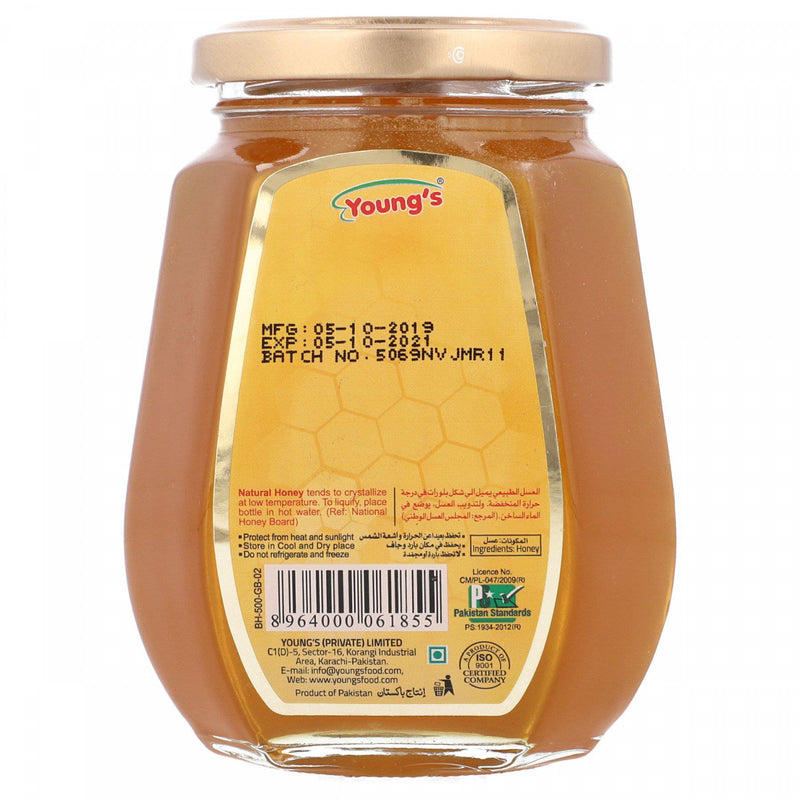 Youngs Bee Hives Natural Honey 500g - HKarim Buksh